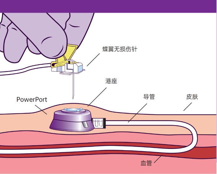 微信图片_20240220080806.png 微信图片_20240220080806.png