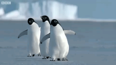 微信图片_20240222163811.gif 微信图片_20240222163811.gif