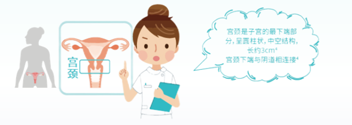 微信图片_20240304171219.png 微信图片_20240304171219.png