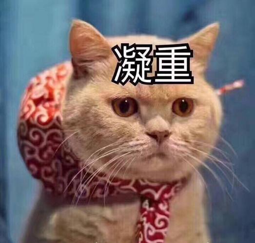 89b694855b2d6215c0915fcf3ab2f813.jpeg 89b694855b2d6215c0915fcf3ab2f813.jpeg